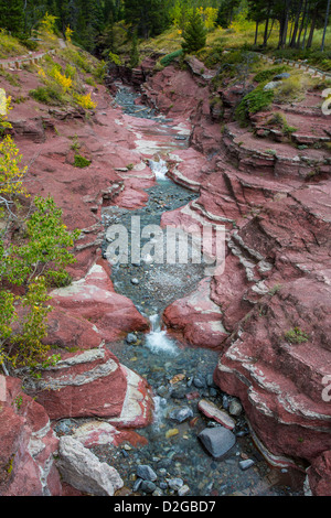 Klarem Wasser der Bach fließt aber Red Rock Canyon in Waterton Lakes National Park in Alberta Kanada Stockfoto