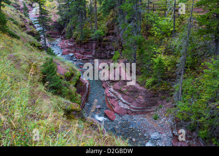 Klarem Wasser der Bach fließt aber Red Rock Canyon in Waterton Lakes National Park in Alberta Kanada Stockfoto