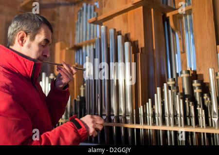 Direktor des Orgelmuseum Malchow, Friedrich Drese, setzt die Orgel aus dem Jahr 1856 in der Dorfkirche Gadow, Deutschland, 22. Januar 2013. Die Orgel mit 331 Rohre wurde durch Orgelbauer Friedrich Hermann Luetkemueller (1815-1897) gebaut. Die Orgel hatte vor elf Jahren zerlegt und Restaurierungsarbeiten weggeschickt wurde. Foto: Jens Büttner Stockfoto