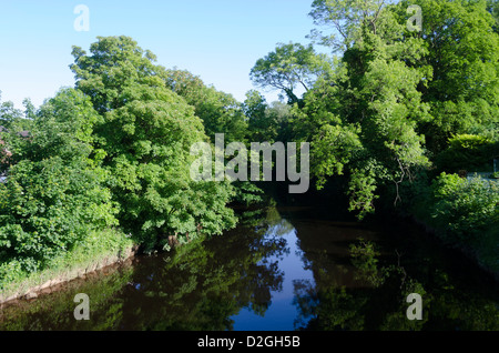 Fluß Eden, Appleby in Westmorland, Cumbria, England, Großbritannien Stockfoto