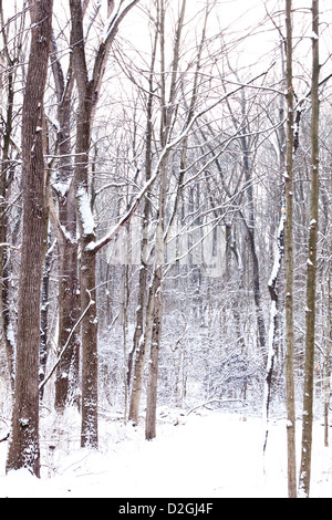 Sharon Woods Metro Park, Westerville, Ohio. Stockfoto