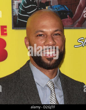 GEMEINSAMEN PREMIERE Film 43 LOS ANGELES Kalifornien USA 23. Januar 2013 Stockfoto