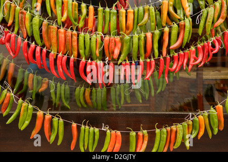 Peperoncino Chili Paprika Stockfoto