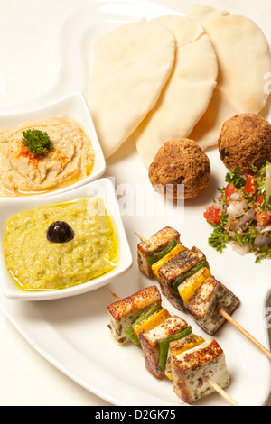 Döner Teller mit Pita-Brot, Fleisch Ball, gegrilltes Hähnchen, Hummus und Salat. Stockfoto