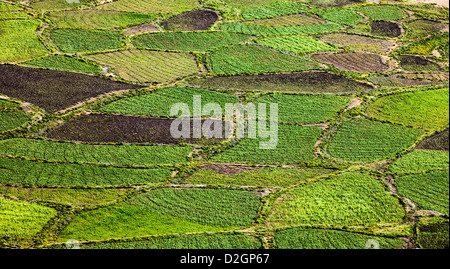 Birds eye Ansicht Foto von Ackerland Stockfoto