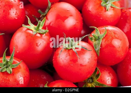 Vielzahl von reife Tomaten Stockfoto