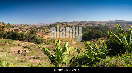 Madagaskar, Ambohimahasoa, landwirtschaftliche Terrassenlandschaft, Panorama Stockfoto