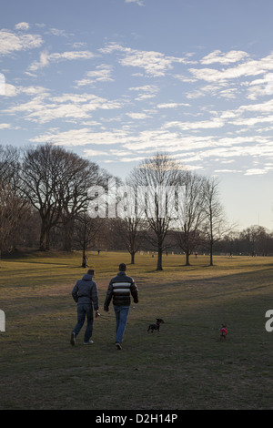 Ende Tag im Winter an der langen Wiese im Prospect Park in Brooklyn, New York. Die Menschen gehen ihren Hunden Stockfoto