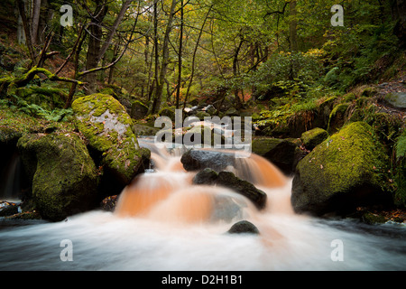 England, Derbyshire, Stream in Flut an Padley Schlucht Stockfoto