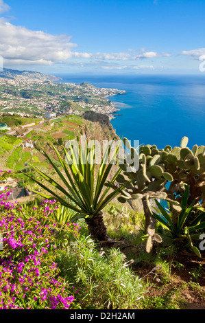 Blick vom Cabo Girao, eines der höchsten Seeklippen der Welt, zurück in Richtung Funchal, Madeira, Portugal, EU, Europa Stockfoto