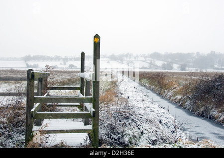 Stil im Winter auf Aller Moor Somerset Levels Stockfoto