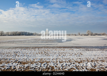 Ein eingefrorenes überflutet Agrarlandschaft mit Bäumen und Hecken im Winter bei bewölktem Himmel blau Stockfoto