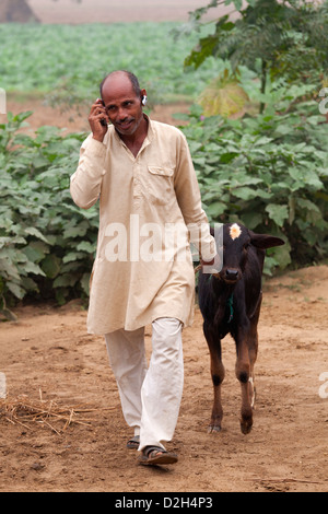 Indien, Uttar Pradesh, im mittleren Alter Bauer Kalb führt, während mit Mobiltelefon und Bluetooth-Kopfhörer Stockfoto