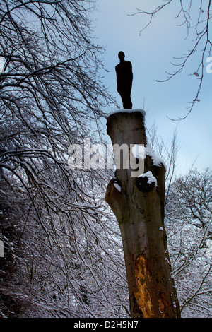 YORKSHIRE SCULPTURE PARK WINTERSCHNEE Stockfoto