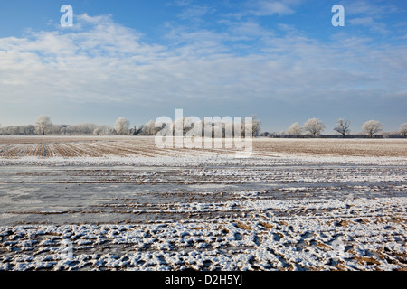 Eine frostige Winterlandschaft mit Eiswasser in Ackerflächen umgeben von satiniertem Bäume und Hecken bei bewölktem Himmel blau Stockfoto