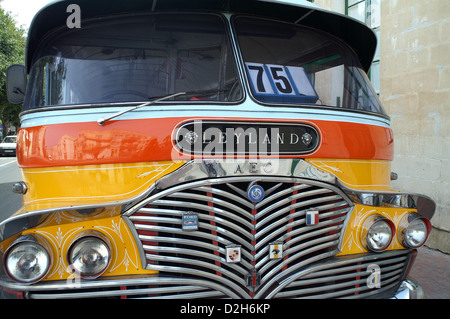 Überall auf den Inseln Malta, öffentlicher Bus in der Nähe von Bugibba, allgegenwärtigen Bus aus den 50er Jahren oder früher zu sehen. Stockfoto