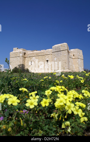 Malta, St. Thomas-Turm in der Nähe von Marsascala Bucht. Stockfoto