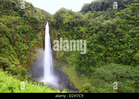 Berühmten hawaiianischen Wasserfall in langsamen Belichtung und guter Detailwiedergabe bei Akaka fällt Hawaii, Big Island Stockfoto
