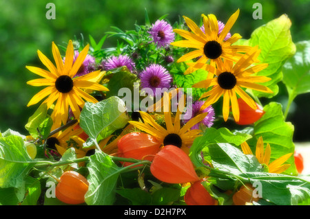 Einen Blumenstrauß Spätsommer, helle und farbenfrohe UK Stockfoto