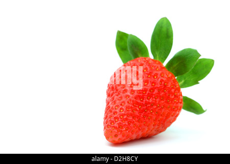 Stockfoto