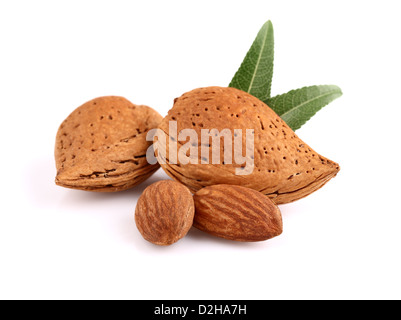 Süße Mandeln mit Blättern Stockfoto