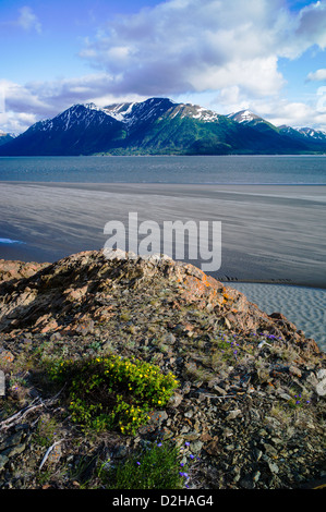 Zerklüftete Landschaft von Meer und Bergen, Turnagain Arm, südlich von Anchorage, Alaska, USA Stockfoto