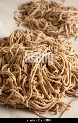 Frische hausgemachte Soba trocknen Stockfoto