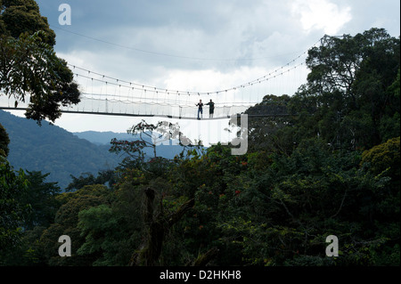 Nyungwe Canopy Walk, Nyungwe Nationalpark, Ruanda Stockfoto