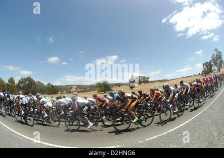 25. Januar 2013. Tanunda, Australien.  Tour Down Under Stufe 4 Modbury, Tanunda.Action Plus Sport Bilder/Alamy live-Nachrichten. Stockfoto