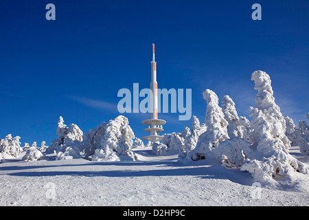 Fernmeldeturm und schneebedeckten Fichten auf dem Gipfel des Berges Brocken. Sachsen-Anhalt, Harz, Deutschland Stockfoto