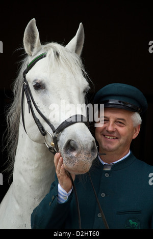 Lipizzaner. Mitarbeiter des Gestüt Lipica stehend mit einem Hengst, Porträt. Slowenien Stockfoto