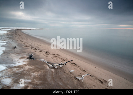 Fußabdrücke auf einem gefrorenen Strand im Norden von Polen - Halbinsel Hel, Ostseeküste. Stockfoto