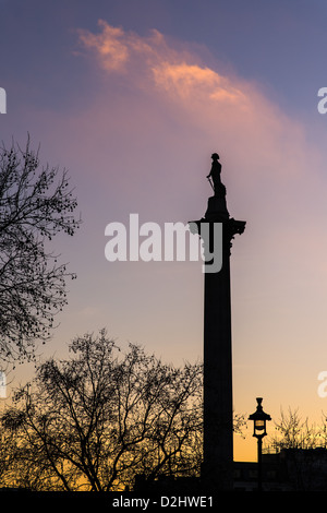 Statue von Admiral Nelson auf einer Säule am Trafalgar Square in London. Stockfoto