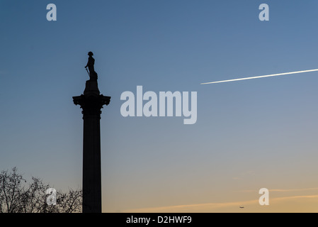 Statue von Admiral Nelson auf einer Säule am Trafalgar Square in London. Stockfoto
