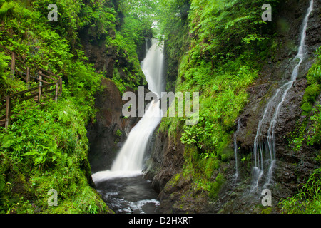 Ess-Na-Larach Wasserfall, Glenariff Forest Park, County Antrim, Nordirland. Stockfoto
