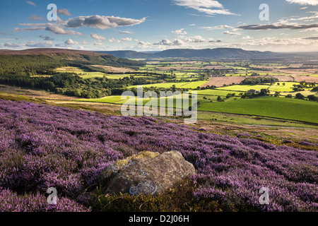 Die Cleveland Hills von Warren Moor, North York Moors National Park Stockfoto