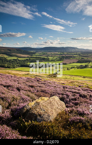 Die Cleveland Hills von Warren Moor, North York Moors National Park Stockfoto