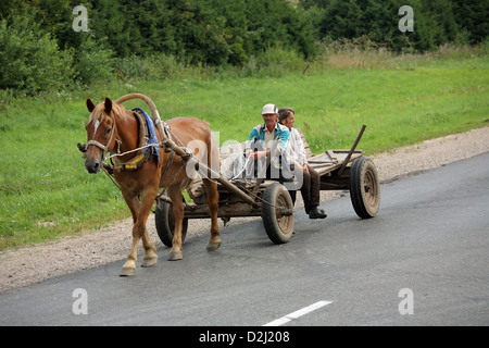 Uneliski, Belarus, Pferdewagen auf einer Landstraße Stockfoto