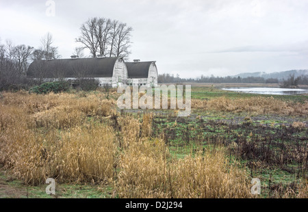 Nisqually National Wildlife Refuge, befindet sich auf der Nisqually River Delta in Southern Puget Sound in der Nähe von Olympia, Washington State. Stockfoto