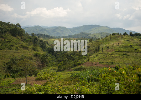 Berge und Hügel Ansichten von Uganda, Afrika Stockfoto