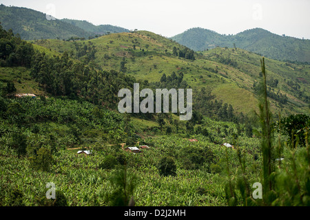 Berge und Hügel Ansichten von Uganda, Afrika Stockfoto