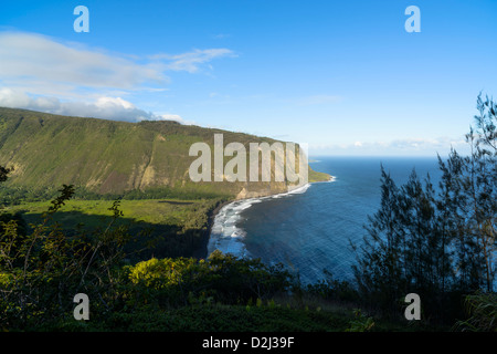 Waipio Valley Lookout, Big Island, Hawaii, USA Stockfoto