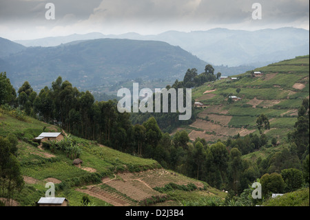 Berge und Hügel Ansichten von Uganda, Afrika Stockfoto