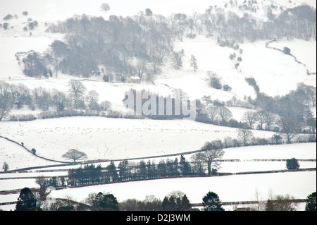 Winterschnee bedeckt Ackerland bei Hay-on-Wye Powys Wales UK Stockfoto