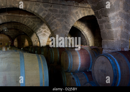 Korsika: Vallee de Orto - Domaine Saparale / 'Höhle' [Keller] Stockfoto