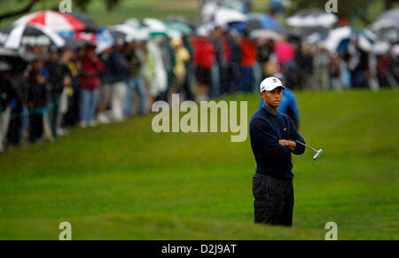 San Diego, Kalifornien, USA. 25. Januar 2013. Tiger Woods Uhren am 9. Loch im Torrey Pines north.   | In der zweiten Runde der Farmers Insurance Open im Torrey Pines auf Mittwoch, 25. Januar 2012. Bildnachweis: ZUMA Press, Inc. / Alamy Live News Stockfoto