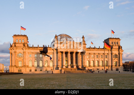 Berlin, Deutschland, ein Rabe auf der Flucht vor dem Reichstag im Abendlicht Stockfoto