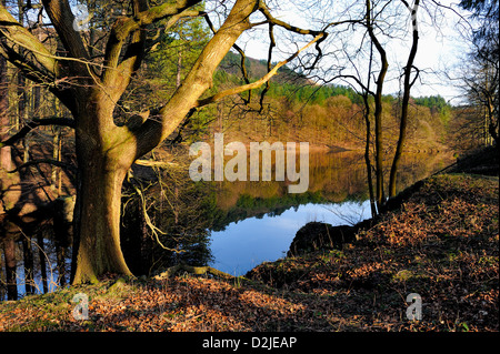 Ladybower Vorratsbehälter Derwent Valley Derbyshire England uk Stockfoto