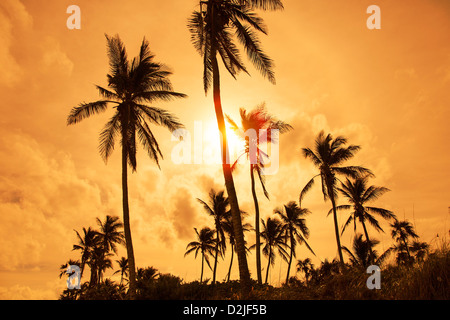 Bahamas, Eleuthera Insel, Sonnenuntergang am Double Bay Beach Stockfoto