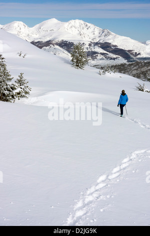 Blaue Weibchen Schneeschuhwandern, Plateau de Beille, Ariege Stockfoto